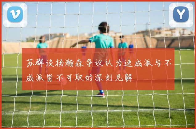 苏群谈杨瀚森争议认为速成派与不成派皆不可取的深刻见解