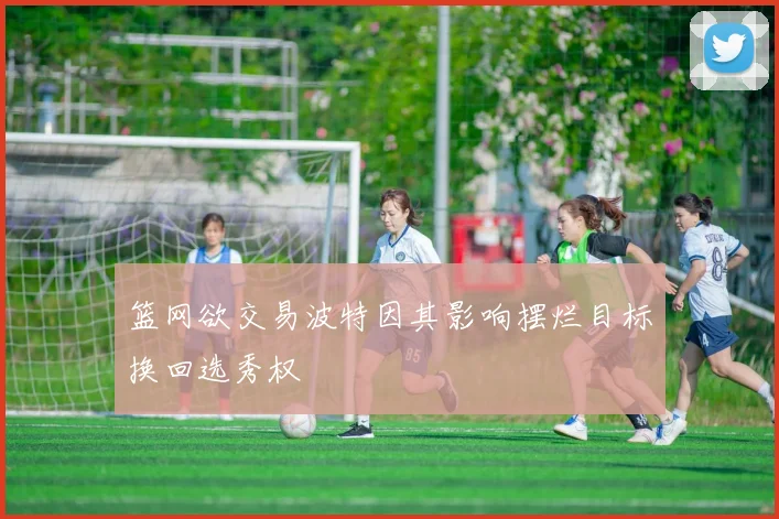 篮网欲交易波特因其影响摆烂目标换回选秀权