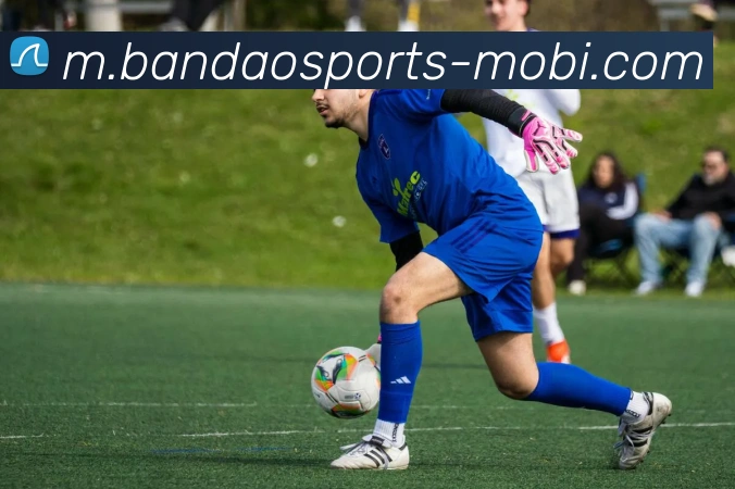 半岛体育APP 封面图